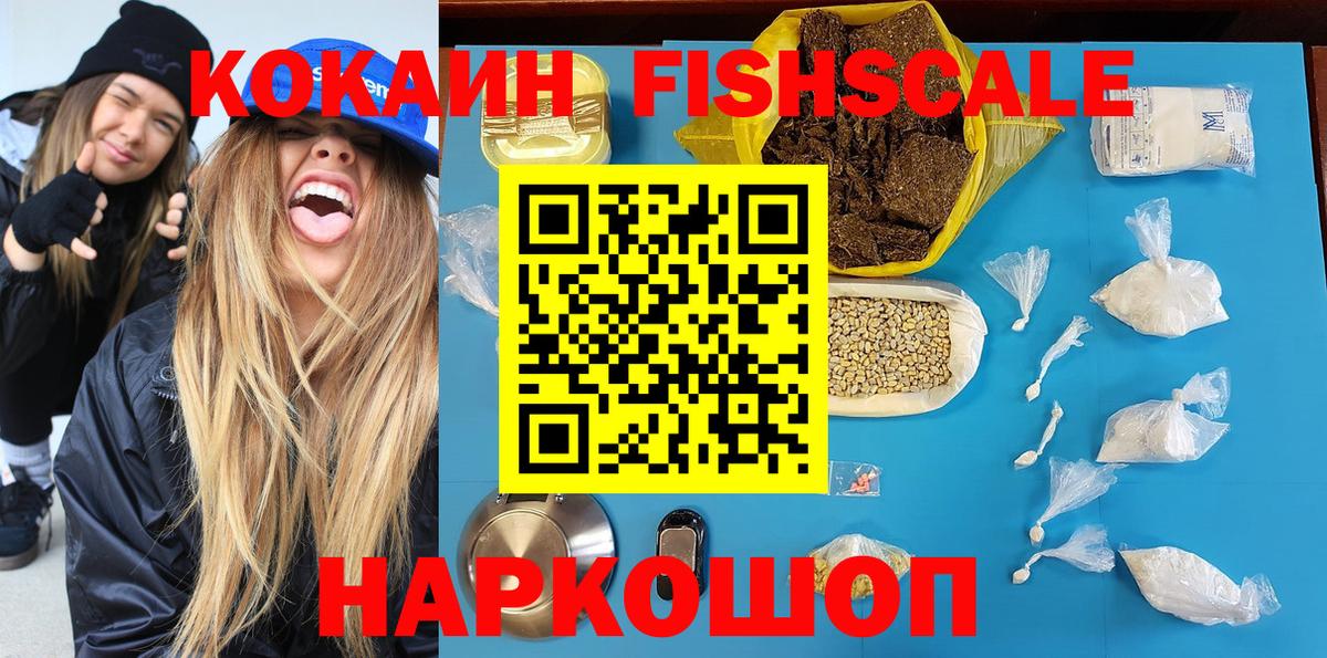 МЕФ Славгород