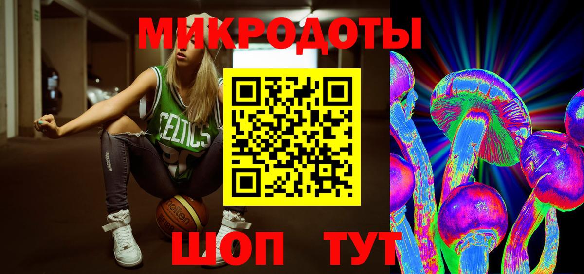 Псилоцибиновые грибы Psilocybine cubensis Славгород