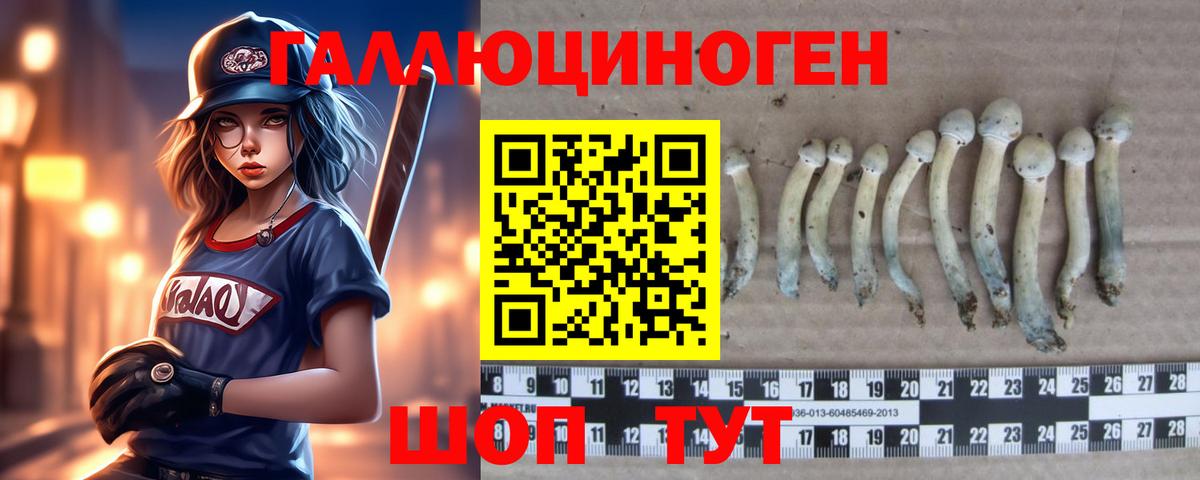Славгород  Псилоцибиновые грибы GOLDEN TEACHER  где найти   Вход с VPN 